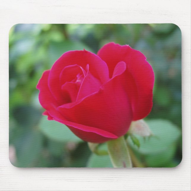 Alfombrilla De Ratón Qué Rosa asombroso (Frente)