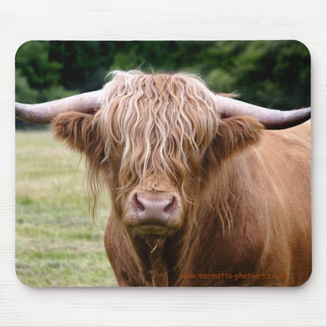 Alfombrilla De Ratón Quién apagó las luces Mousemat (Frente)