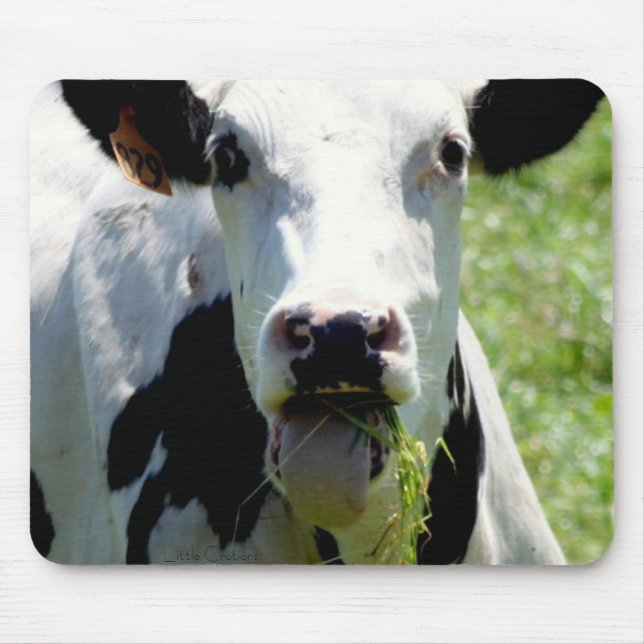 Alfombrilla De Ratón "Quién yo " (Frente)