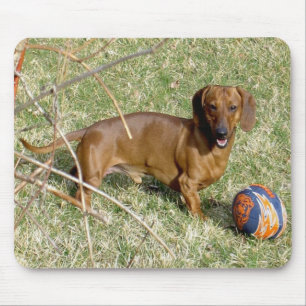 Alfombrilla De Ratón ¿Quiera jugar?