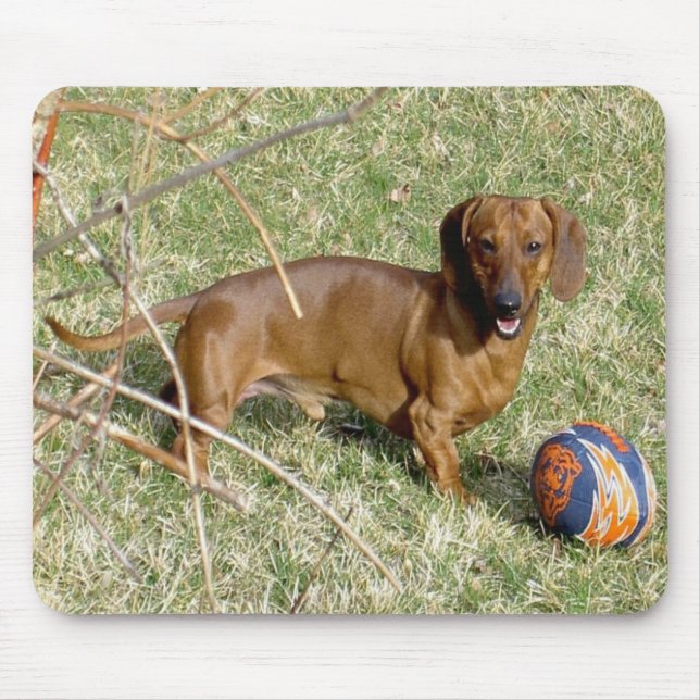 Alfombrilla De Ratón ¿Quiera jugar? (Frente)