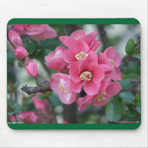 Alfombrilla De Ratón Quince florido de color rosa primavera