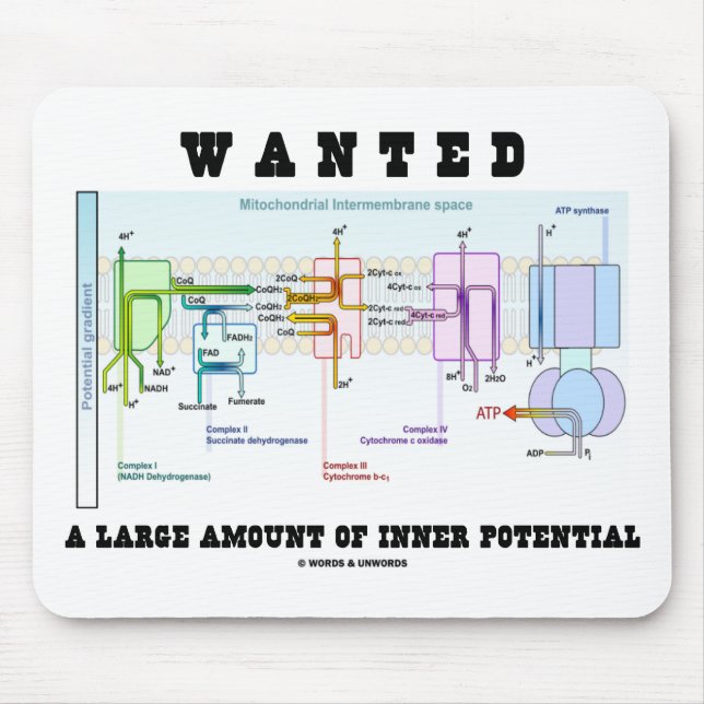 Alfombrilla De Ratón Quiso una gran cantidad de potencial interno (Frente)