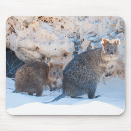 Alfombrilla De Ratón Quokka