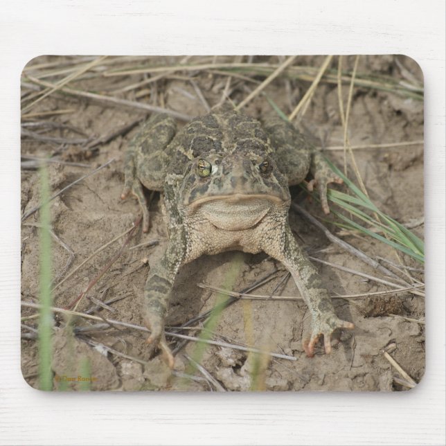 Alfombrilla De Ratón R10 Prairie Toad (Frente)