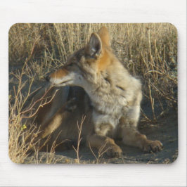 Alfombrilla De Ratón R16 Coyote Acostado