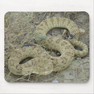 Alfombrilla De Ratón R20 Prairie Rattlesnake Herido