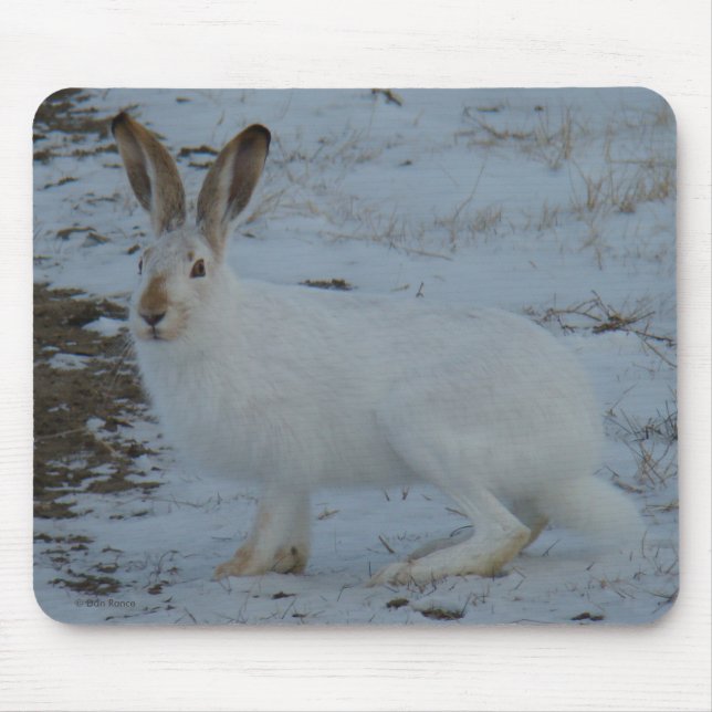 Alfombrilla De Ratón R23 Liebre de Nieve (Frente)