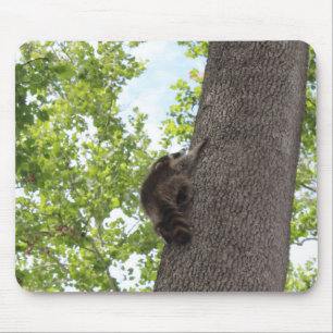 Alfombrilla De Ratón Raccoon bebé