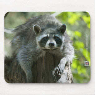Alfombrilla De Ratón Raccoon Mousepad