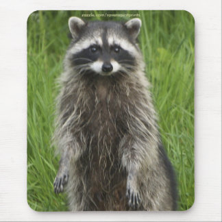 Alfombrilla De Ratón RACCOON WILDLIFE Mousepads