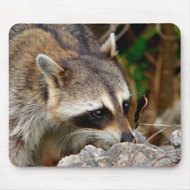 Alfombrilla De Ratón Racoon Mousepad (Frente)