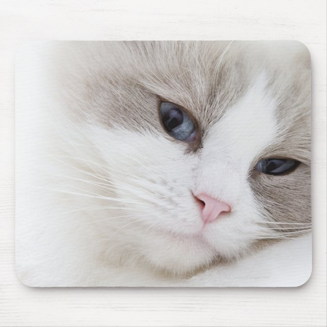 Alfombrilla De Ratón Ragdoll cat (Frente)