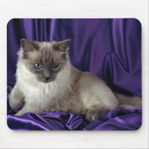 Alfombrilla De Ratón Ragdoll, punto azul