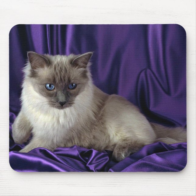 Alfombrilla De Ratón Ragdoll, punto azul (Frente)