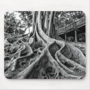 Alfombrilla De Ratón Raíces masivas de árbol de caucho