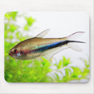 Alfombrilla De Ratón Rainbow Tetra