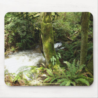 Alfombrilla De Ratón Rainforest Stream Wilderness Nature Foto Mousepad