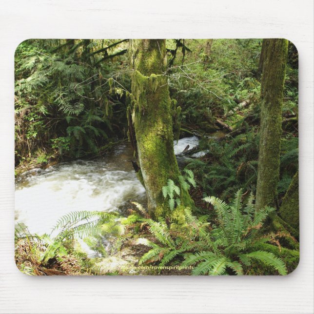 Alfombrilla De Ratón Rainforest Stream Wilderness Nature Foto Mousepad (Frente)