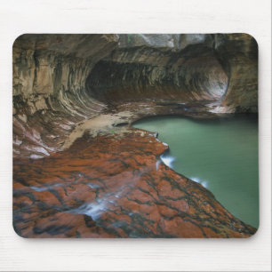 Alfombrilla De Ratón Rama Izquierda   Parque Nacional Zion, Utah