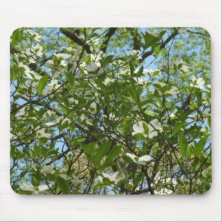 Alfombrilla De Ratón Ramas de Dogwood florecen árboles de primavera