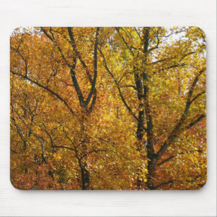 Alfombrilla De Ratón Ramas de Hojas Amarillas Brillantes Otoño Colorido