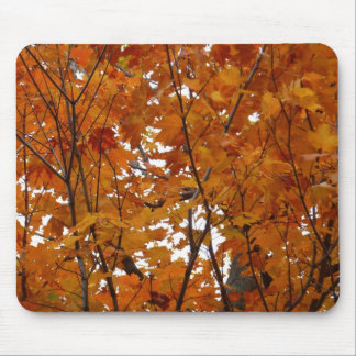 Alfombrilla De Ratón Ramas de hojas de arce I Naranja Otoño