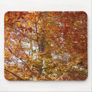 Alfombrilla De Ratón Ramas de Hojas Naranjas Naturaleza de Otoño