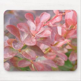 Alfombrilla De Ratón Ramas rosadas de bonito