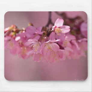 Alfombrilla De Ratón Ramo delicado de flor de cerezo Sakura