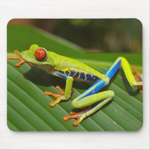 Alfombrilla De Ratón Rana arbórea observada rojo Mousepad