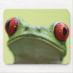 Alfombrilla De Ratón rana arbórea Rojo-observada (callidryas) de