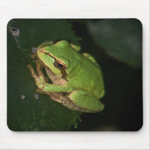 Alfombrilla De Ratón Rana arbórea verde Mousepad
