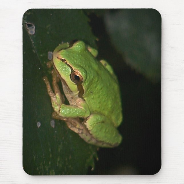 Alfombrilla De Ratón Rana arbórea verde Mousepad (Frente)
