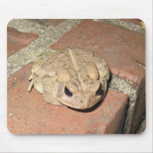 Alfombrilla De Ratón Rana de la toad