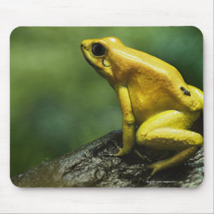 Alfombrilla De Ratón Rana de oro del dardo