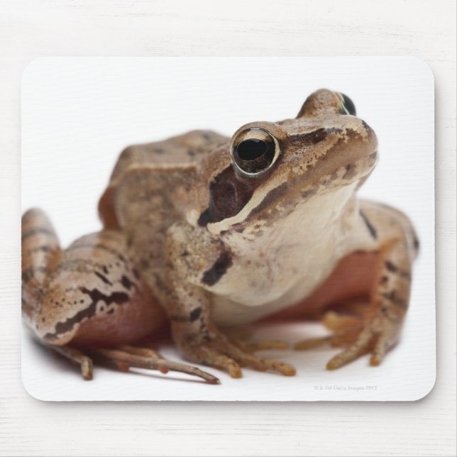 Alfombrilla De Ratón Rana Moor Frog (Frente)