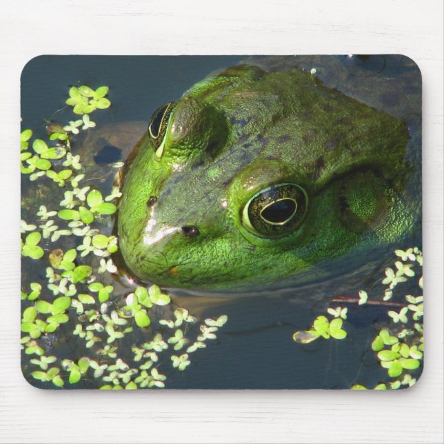 Alfombrilla De Ratón Rana Mousepad (Frente)