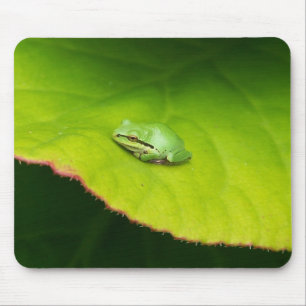 Alfombrilla De Ratón Rana Mousepad de Lil