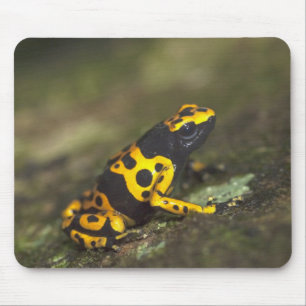 Alfombrilla De Ratón Rana venenosa de bandas amarillas Dendrobates