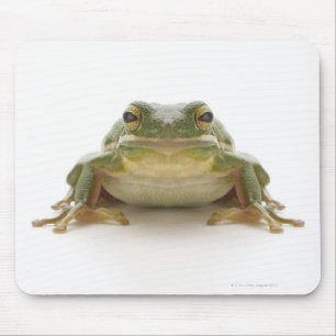 Alfombrilla De Ratón Rana verde (Hylidae cinerea)