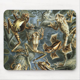 Alfombrilla De Ratón Ranas