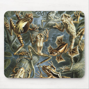 Alfombrilla De Ratón Ranas y sapos antiguos Batrachia de Ernst Haeckel
