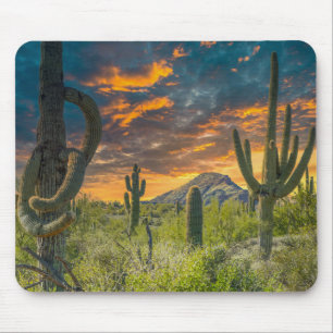 Alfombrilla De Ratón Rancho de 4792-2-Spur, Cave Creek, Arizona