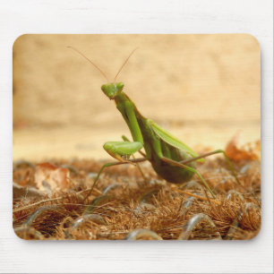 Alfombrilla De Ratón Rando Mantis Mouse Mat