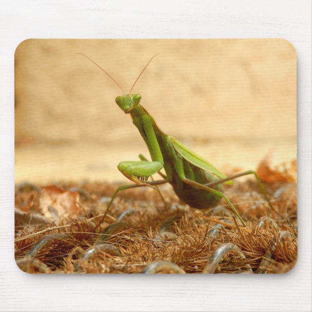 Alfombrilla De Ratón Rando Mantis Mouse Mat (Frente)