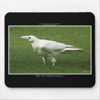 Alfombrilla De Ratón Raras fotografías de vida silvestre de White Raven