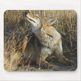 Alfombrilla De Ratón Rasguño del coyote R17