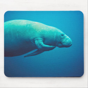 Alfombrilla De Ratón Rasguño del Manatee