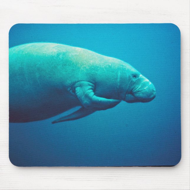 Alfombrilla De Ratón Rasguño del Manatee (Frente)